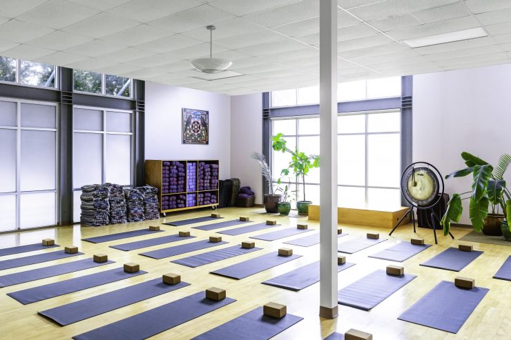 Yoga in Austin_Yoga studios in Austin_Flow Yoga Texas Watergate