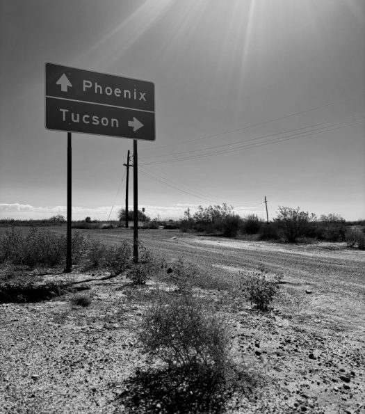 Svenja Conrad_Phoenix